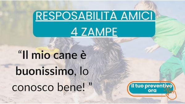 cane dal veterinario rischio spese
