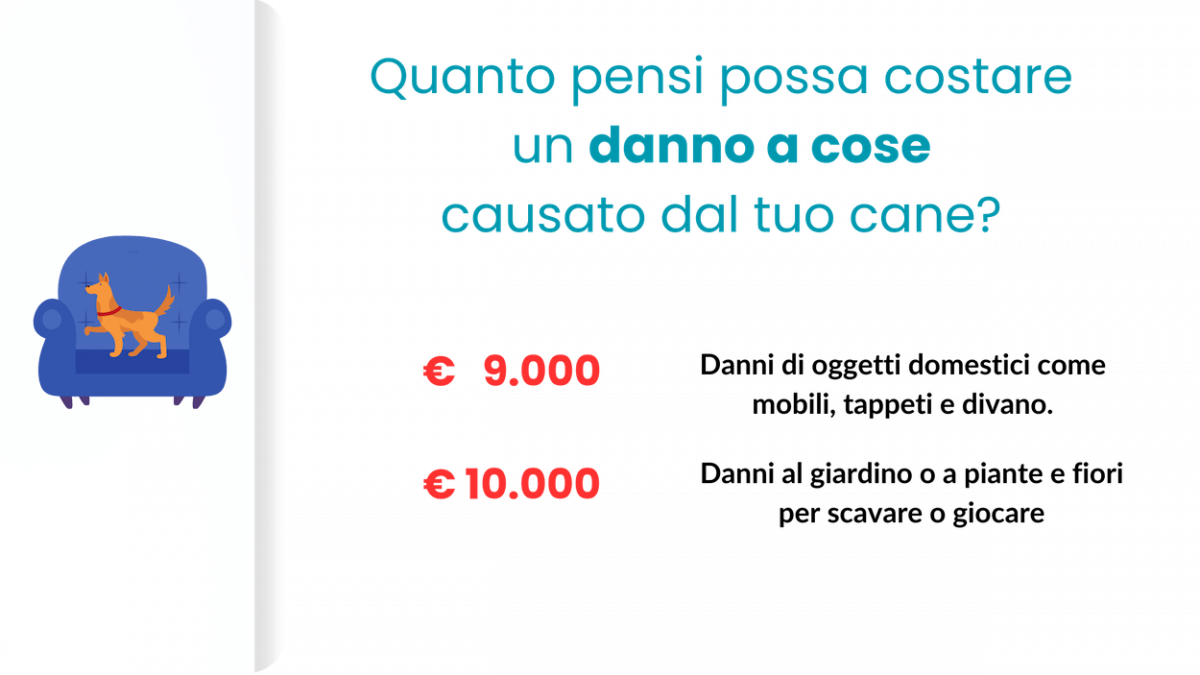 polizza animali domestici danni a cose