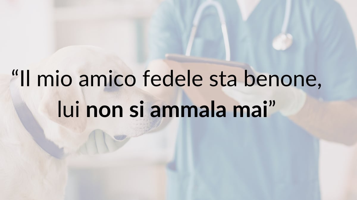 spese veterinarie vantaggi copertura assicurativa